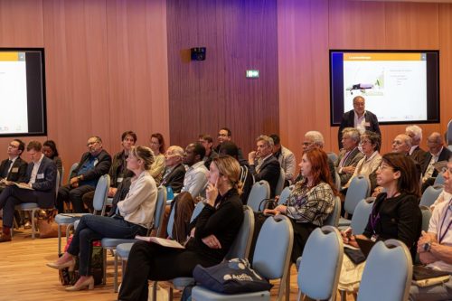 0T3A1175-Avec accentuation-NR copie - Grande