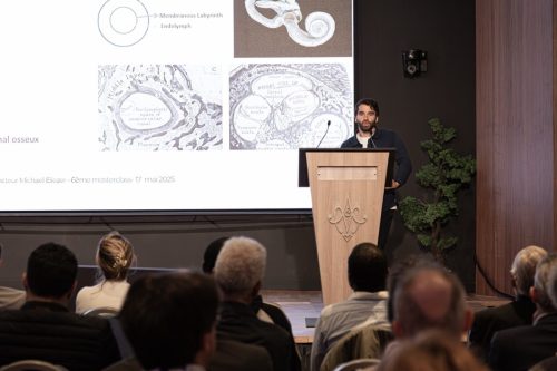 0T3A1183-Avec accentuation-NR copie - Grande